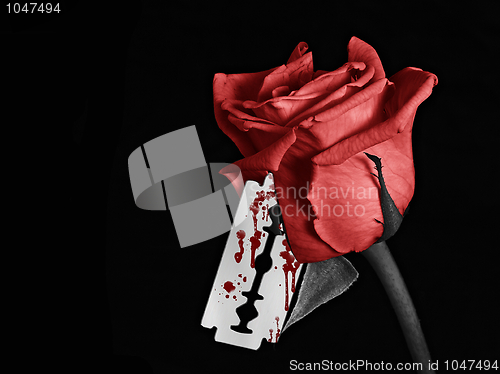 Image of Bloody Rose