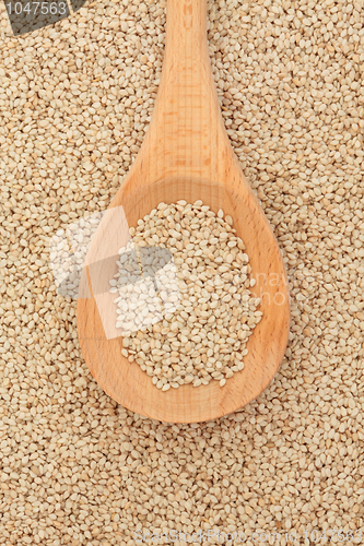 Image of Quinoa Grains