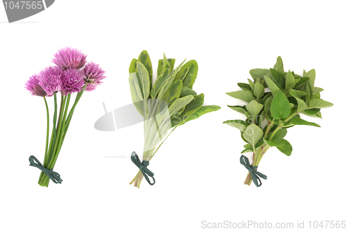 Image of Chives, Sage and Oregano Herbs