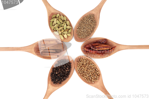 Image of Spice Selection