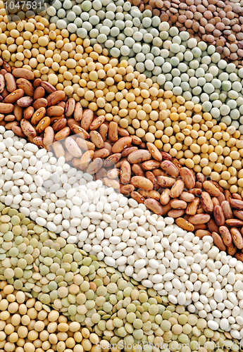 Image of Mixture of dried lentils, peas, soybeans, beans  - background