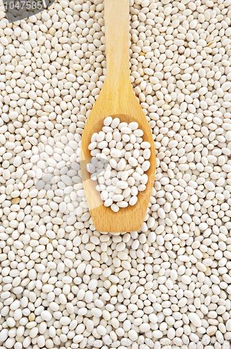 Image of Wooden spoon and dried white navy beans