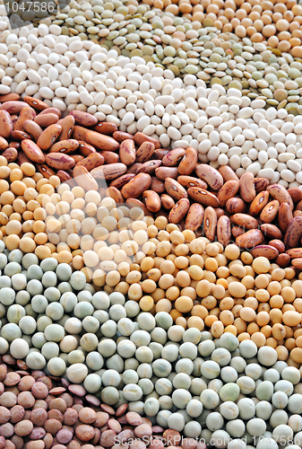 Image of Mixture of dried lentils, peas, soybeans, beans  - background