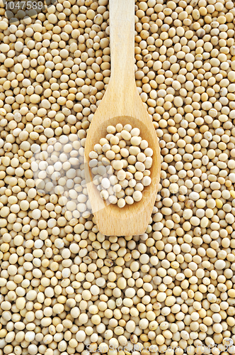 Image of Wooden spoon and dried soybeans