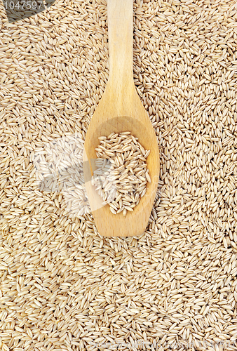 Image of Wooden spoon and dried husked oats