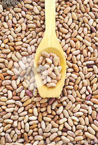 Image of Wooden spoon and dried pinto beans