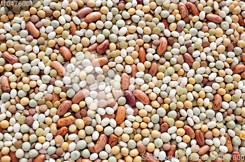 Image of Mixed pulse – lentils, peas, soybeans, beans - background
