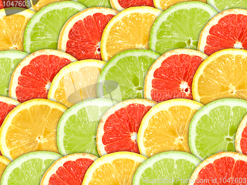 Image of Background with citrus-fruit slices