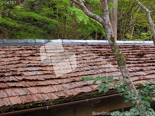 Image of Bark roof