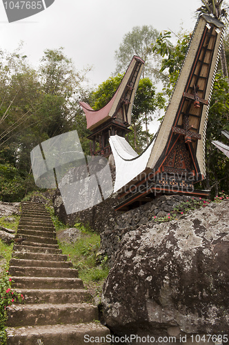 Image of  Traditional toraja cemetery