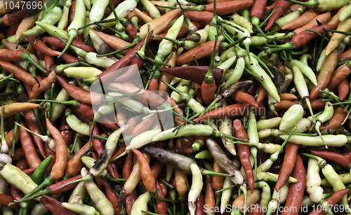 Image of Colored Chili peppers