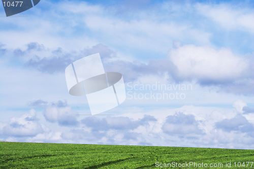 Image of A wonderful sky and bright green grass