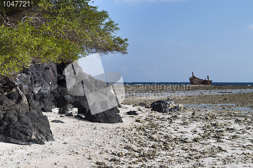 Image of Volcanic Rock in shoreline