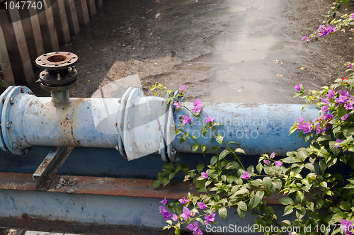 Image of Opencast Sewer system