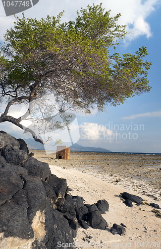 Image of Volcanic Rock in shoreline with cabin