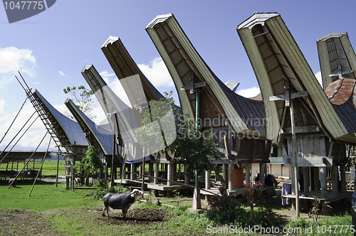 Image of Toraja rural household