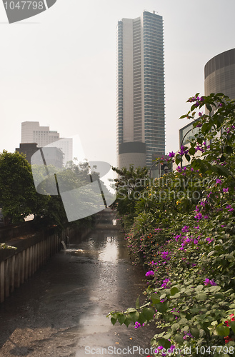 Image of Jakarta Canal