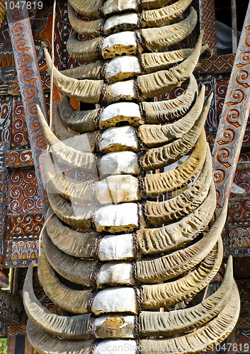 Image of  Toraja Traditional horn house