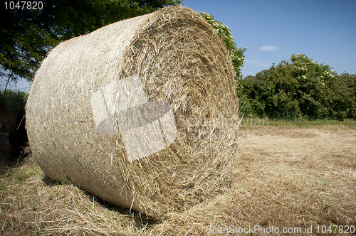 Image of Full Hay ball