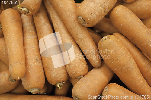 Image of Carrots