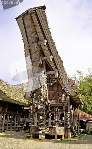 Image of Toraja traditional village