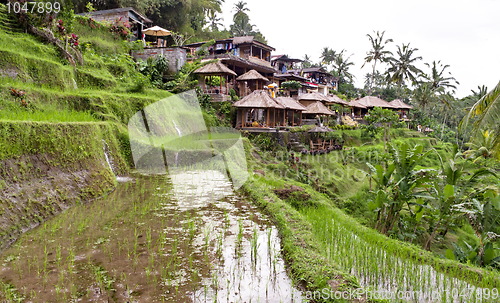 Image of Indonesian rural village