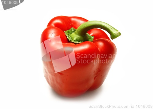 Image of red sweet pepper on a white background