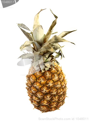 Image of pineapple on white