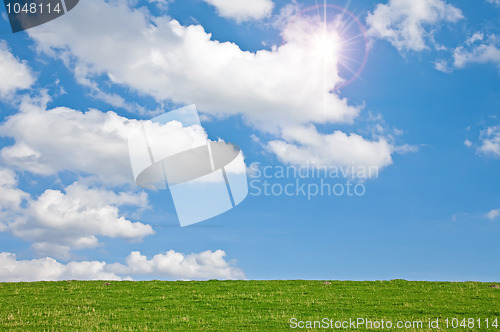 Image of Meadow with Sky