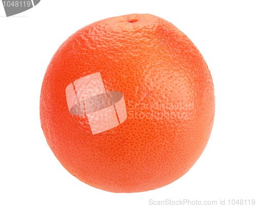 Image of One full orange grapefruit