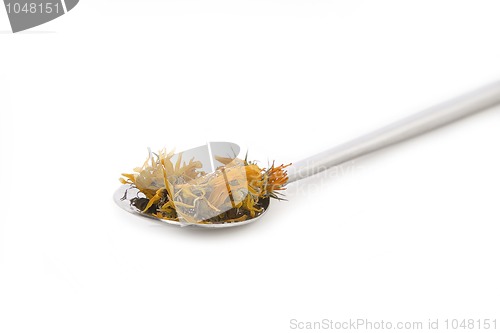 Image of marigold or calendula officinalis