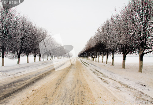 Image of Winter road