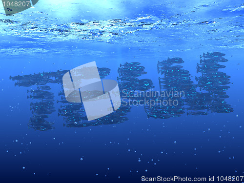 Image of Shoal of fish