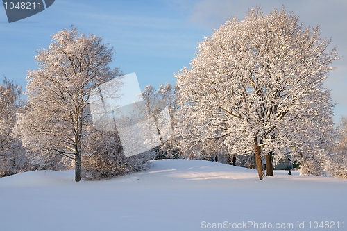 Image of Winterlandscape