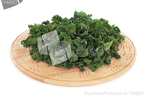 Image of Kale  Vegetable