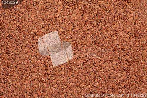 Image of Linseed