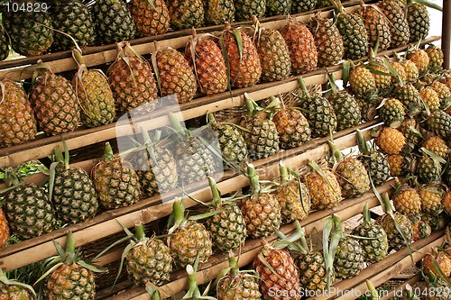 Image of Pineapples