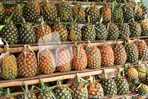 Image of Pineapples