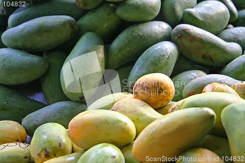 Image of Mangoes