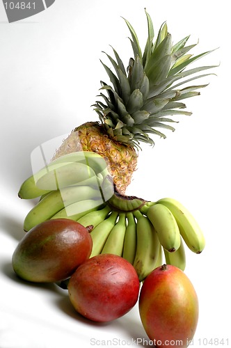 Image of bananas and mangoes