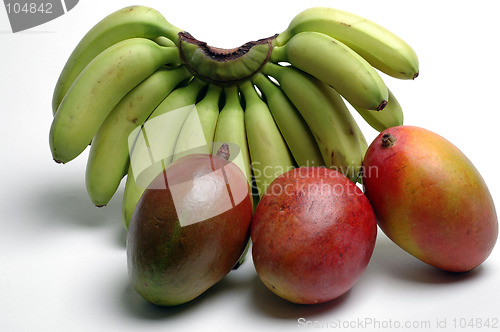 Image of bananas and mangoes