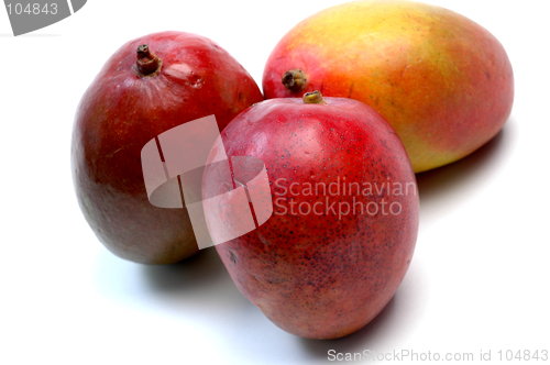 Image of mangoes