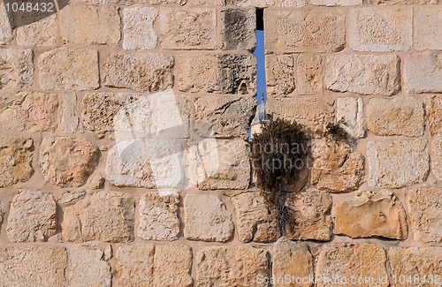 Image of Wall of the Old City