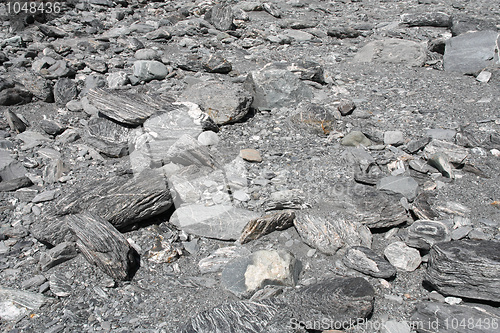 Image of Dry river bed texture