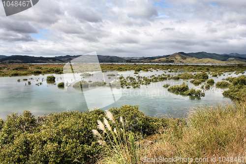 Image of Marshes