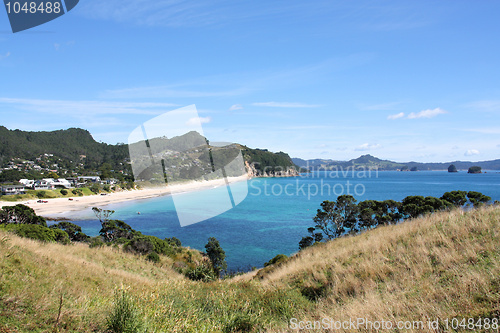 Image of Coromandel