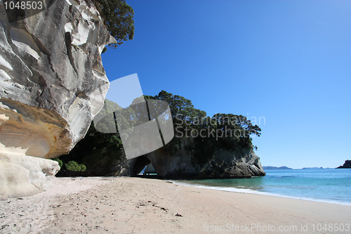 Image of Coromandel