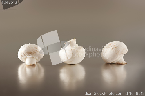 Image of mushroom