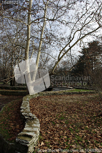 Image of S Shaped Wall