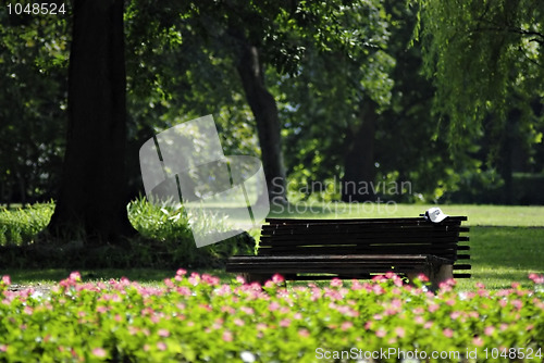 Image of Bench At Park